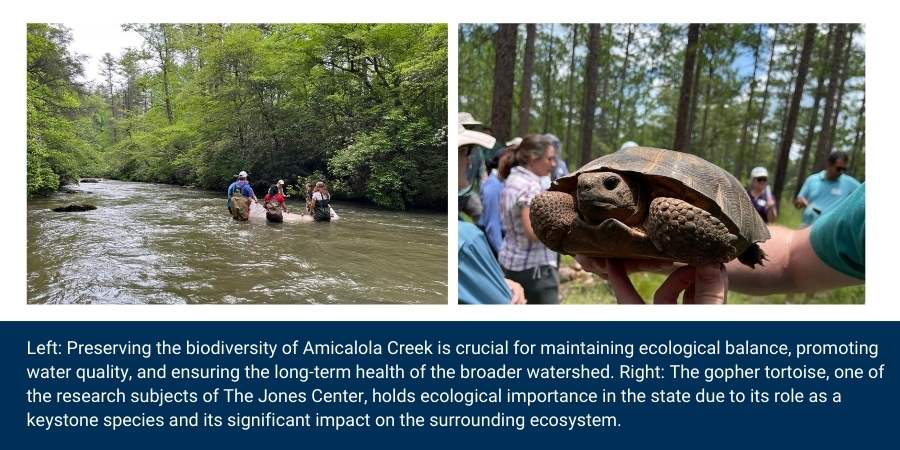 Left: Individuals standing in a local watershed area. Right: A closeup image of a tortoise held in a hand.